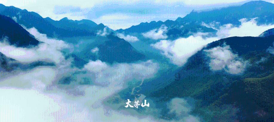 万词王